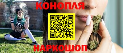 mdpv Владикавказ
