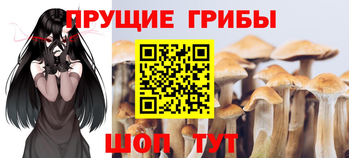 Псилоцибиновые грибы мицелий  Псилоцибиновые грибы MAGIC MUSHROOMS  Вход с VPN  Клин 